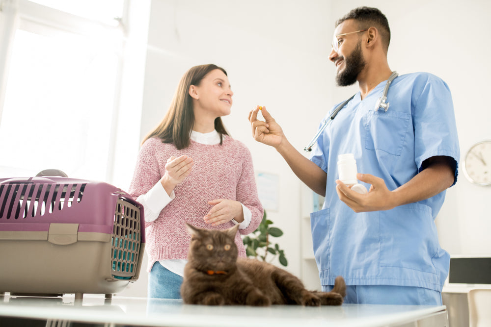 Veterinary Compounding Pharmacy in Kingsport, TN: Tailor-Made Medications for Your Pet
